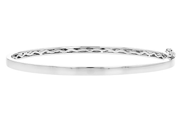G300-17831: BANGLE (C216-50586 W/ CHANNEL FILLED IN & NO DIA)